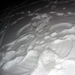 Rodeln am Kahlenberg